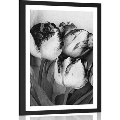 Plakát s paspartou jarní tulipány v černobílém provedení - 40x60 silver