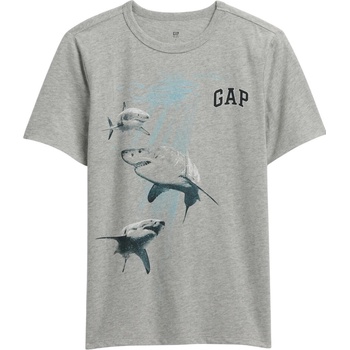 GAP Logo šedá