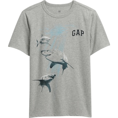GAP Logo šedá