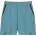 On Train Shorts