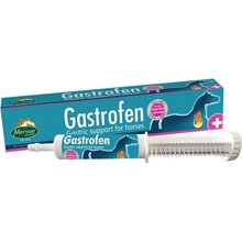 Mervue GASTROFEN pasta 80 ml