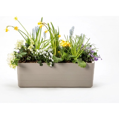 Plastia truhlík Berberis sivá + béžová 60 cm