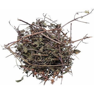 Nefertitis Tulasi posvátná bazalka nať NF24521 20 g