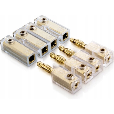 Sinus Live BC-4