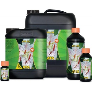 ATAMI ata xl 1l