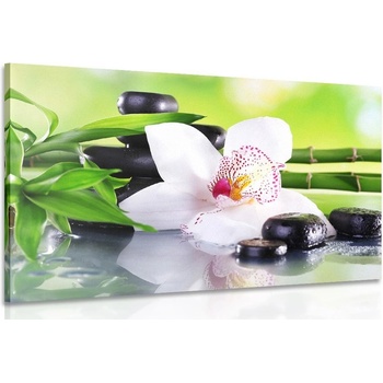 Obraz japonská orchidea