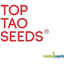 Top Tao Seeds Haze AUTO Tao regular semena neobsahují THC 10 ks