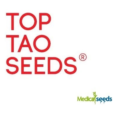 Top Tao Seeds Haze AUTO Tao regular semena neobsahují THC 10 ks