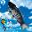 D&P Ryba čierna