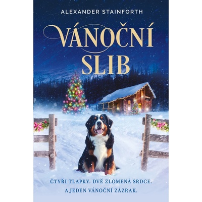 Vánoční slib - Alexander Stainforth