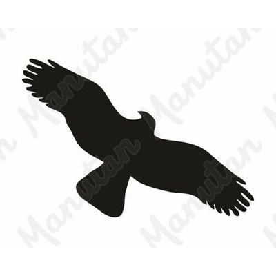 Silueta dravce, samolepka 150 x 65 x 0,1 mm