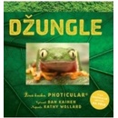 Džungle