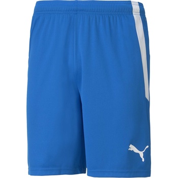 PUMA Team liga shorts xxl