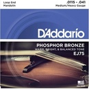 D'addario J75