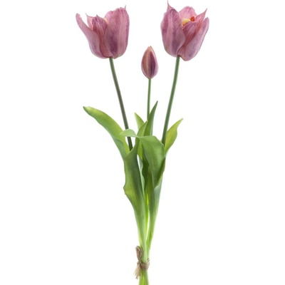 Tulipán 'Sally' svazek x3 fialová V43 cm
