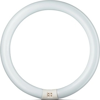 Philips Kruhová zářivka Master TL-E 22W/840 G10q studená bílá