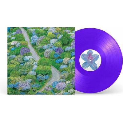 Fiddlehead - Between the Richness (Violet Coloured) LP