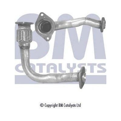 BM CATALYSTS BM70219