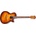 Ibanez AEG70-VVH