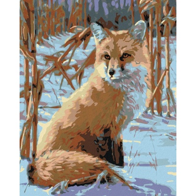 zuty Malování podle čísel Vyhlížející liška 80 x 100 cm bez rámu a bez vypnutí plátna