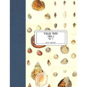 Vintage Prints: Shells: Vol. 3 | E. Lawrence (ISBN: 9781727184266)