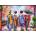 Ravensburger - Puzzle Blossom Walk - 500 piese