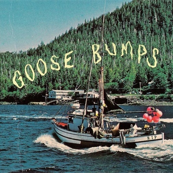 Boyscott - GOOSE BUMPS LP