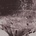 Mark Ijzerman - FLOUNDER MAPS LP