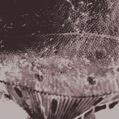 Mark Ijzerman - FLOUNDER MAPS LP