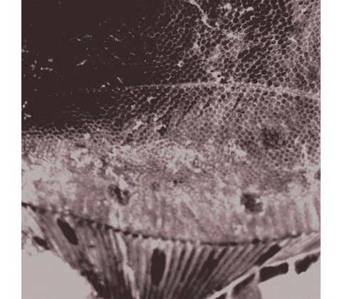 Mark Ijzerman - FLOUNDER MAPS LP