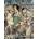 Arthur Rackham Art Book | Pook Press, Arthur Rackham