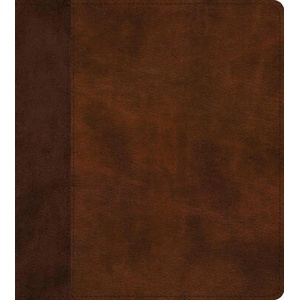 ESV Journaling Study Bible (ISBN: 9781433590450)