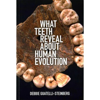 Image 1 of What Teeth Reveal about Human Evolution | Debbie Guatelli-Steinberg