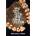 What Teeth Reveal about Human Evolution | Debbie Guatelli-Steinberg