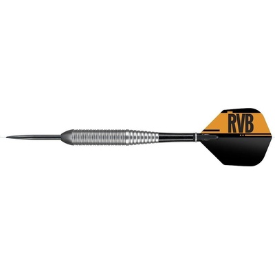 Target steel Raymond van Barneveld 21g RVB BRASS