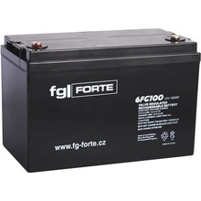 fgForte 12V 100Ah 6FG100