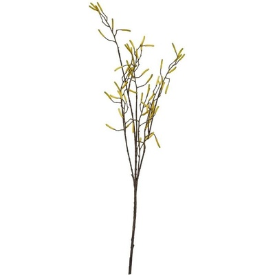 KONÁR BREZA, ŽLTÉ PLODY 125CM