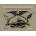 Flash from the Bowery: Classic American Tatto, 1900-1950