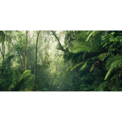Komar Vliesová fototapeta Tropenwelten rozměry 500 x 250 cm