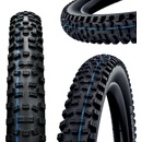 Schwalbe Hans Dampf 29x2.60