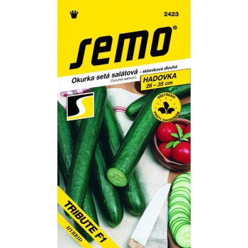 Semo Uhorka šalátová do skleníka - Tribute F1 veľmi dl 10s