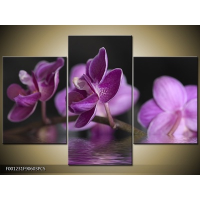 Moderní obraz F001231F90603PCS (Třídílný 90x60 cm)