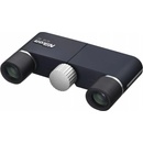 Nikon 4x10 DCF