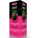 Benefeed Energit H 1 l