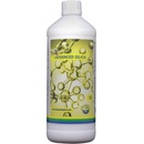 Advanced Hydroponics Silica 100 ml