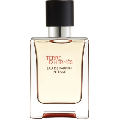 Hermès Terre D'Hermes (Intense) EDP 100 ml