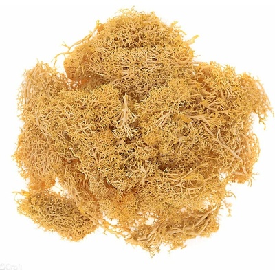 DP Craft Prírodný sobí mach 30 g - okrový