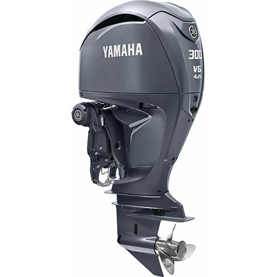 Yamaha F300NSBX