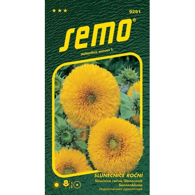 Semo Slunečnice roční - Teddy bear 1g