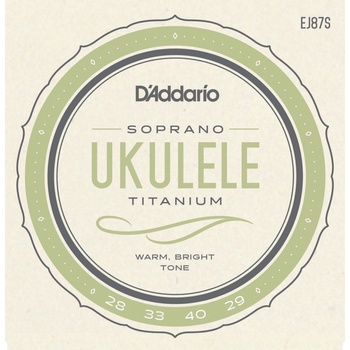 D'Addario EJ87S